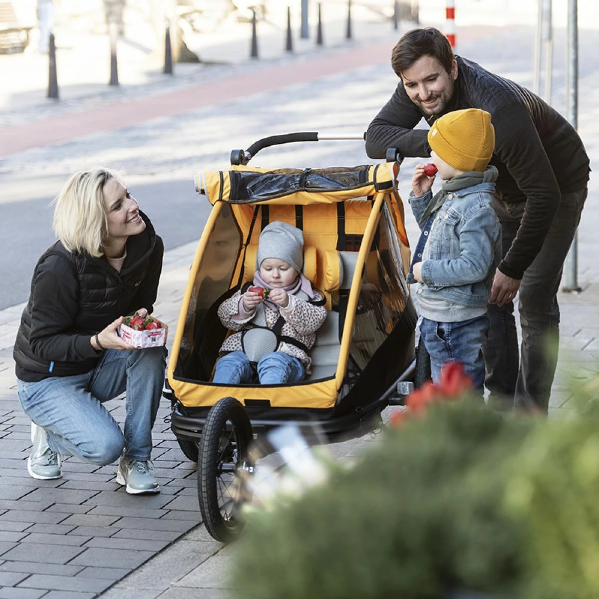 XLC Remorque Enfant Duo S 20" Gris/orange – Image 2